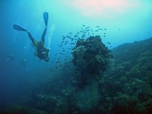 coral-reef-1362516